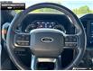 2022 Ford F-150 Tremor (Stk: 6F37246A) in Brantford - Image 12 of 23