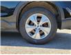 2024 Subaru Ascent Convenience (Stk: Z3816) in St.Catharines - Image 9 of 24