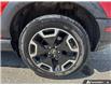 2022 Ford Bronco Sport Outer Banks (Stk: 5UTT7502) in Sarnia - Image 6 of 25