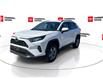 2025 Toyota RAV4 Hybrid LE (Stk: 12108699A) in Concord - Image 5 of 19