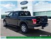 2016 Ford F-150 XLT (Stk: D55501A) in London - Image 4 of 13