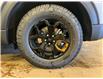 2026 Ford Explorer Tremor (Stk: 26EX13) in St.Paul - Image 10 of 10