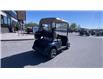 2020 EZ-GO ELITE GOLF CART  (Stk: 26224) in Sudbury - Image 4 of 15
