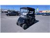 2021 EZ-GO ELITE GOLF CART  (Stk: 26225) in Sudbury - Image 8 of 16