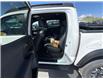2023 Toyota Tacoma (Stk: X406352A) in Cranbrook - Image 13 of 22 2023 Toyota Tacoma (Stk: X406352A) in Cranbrook - Image 13 of 22