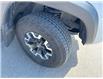 2023 Toyota Tacoma (Stk: X406352A) in Cranbrook - Image 22 of 22 2023 Toyota Tacoma (Stk: X406352A) in Cranbrook - Image 22 of 22