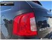 2014 Ford Edge Limited (Stk: DR1055C) in Brantford - Image 9 of 18