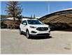 2022 Ford Edge Titanium (Stk: 260854A) in Calgary - Image 1 of 17
