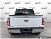 2023 Ford F-150 Lariat (Stk: MFLFI081B) in Sault Ste. Marie - Image 5 of 25