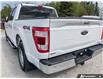 2023 Ford F-150 Lariat (Stk: MFLFI081B) in Sault Ste. Marie - Image 11 of 25