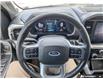 2023 Ford F-150 Lariat (Stk: MFLFI081B) in Sault Ste. Marie - Image 14 of 25
