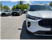 2025 Ford Escape PHEV (Stk: 260632) in North Bay - Image 13 of 34