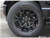 2026 Ford F-150 STX (Stk: 26F1432) in St. Catharines - Image 8 of 25
