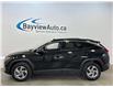2024 Hyundai Tucson Trend (Stk: 44078J) in Belleville - Image 4 of 27