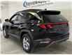 2024 Hyundai Tucson Trend (Stk: 44078J) in Belleville - Image 5 of 27