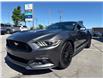 2017 Ford Mustang GT Premium (Stk: P2266) in Newmarket - Image 3 of 23