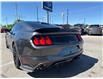 2017 Ford Mustang GT Premium (Stk: P2266) in Newmarket - Image 8 of 23