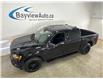 2024 Ford F-150 XLT (Stk: 43660JA) in Belleville - Image 1 of 32