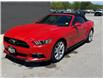 2015 Ford Mustang GT Premium (Stk: U11204A) in London - Image 1 of 22