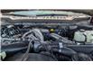 2026 Ford F-350  (Stk: F1491) in Miramichi - Image 13 of 13