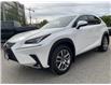 2019 Lexus NX 300 Base (Stk: 4918) in KITCHENER - Image 3 of 30