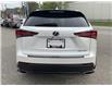2019 Lexus NX 300 Base (Stk: 4918) in KITCHENER - Image 6 of 30