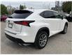 2019 Lexus NX 300 Base (Stk: 4918) in KITCHENER - Image 7 of 30