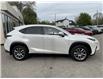 2019 Lexus NX 300 Base (Stk: 4918) in KITCHENER - Image 8 of 30
