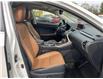 2019 Lexus NX 300 Base (Stk: 4918) in KITCHENER - Image 28 of 30