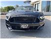 2017 Ford Mustang GT Premium (Stk: 4979) in KITCHENER - Image 2 of 38