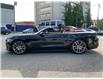 2017 Ford Mustang GT Premium (Stk: 4979) in KITCHENER - Image 4 of 38