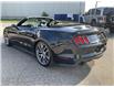 2017 Ford Mustang GT Premium (Stk: 4979) in KITCHENER - Image 5 of 38
