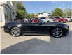 2017 Ford Mustang GT Premium (Stk: 4979) in KITCHENER - Image 8 of 38