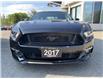 2017 Ford Mustang GT Premium (Stk: 4979) in KITCHENER - Image 10 of 38