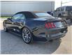 2017 Ford Mustang GT Premium (Stk: 4979) in KITCHENER - Image 13 of 38