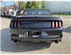 2017 Ford Mustang GT Premium (Stk: 4979) in KITCHENER - Image 14 of 38