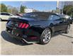 2017 Ford Mustang GT Premium (Stk: 4979) in KITCHENER - Image 15 of 38