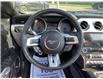 2017 Ford Mustang GT Premium (Stk: 4979) in KITCHENER - Image 24 of 38