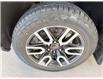 2022 GMC Sierra 1500 AT4 (Stk: 253181) in Brandon - Image 33 of 34