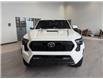 2024 Toyota Tacoma TRD Sport (Stk: 261041) in Brandon - Image 4 of 29