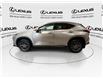 2024 Lexus NX 350h  (Stk: 14112710A) in Markham - Image 5 of 24