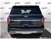 2024 Ford Expedition Limited (Stk: P245891) in Grimsby - Image 5 of 25