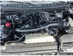 2024 Ford Expedition Limited (Stk: P245891) in Grimsby - Image 10 of 25
