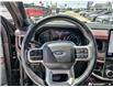 2024 Ford Expedition Limited (Stk: P245891) in Grimsby - Image 14 of 25