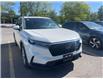 2024 Honda CR-V EX-L (Stk: 26P079) in Kingston - Image 5 of 10
