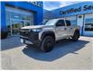 2023 Chevrolet Colorado Trail Boss (Stk: G3001) in The Pas - Image 1 of 19