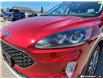 2022 Ford Escape SEL (Stk: MFLRI018BX) in Sault Ste. Marie - Image 8 of 25