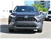 2024 Toyota RAV4 Hybrid LE (Stk: F52289AA) in GEORGETOWN - Image 4 of 24