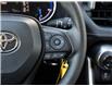 2024 Toyota RAV4 Hybrid LE (Stk: F52289AA) in GEORGETOWN - Image 21 of 24