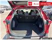 2023 Toyota RAV4 Hybrid XLE (Stk: P0065790) in Cambridge - Image 12 of 25